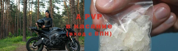 прущие грибы Зерноград