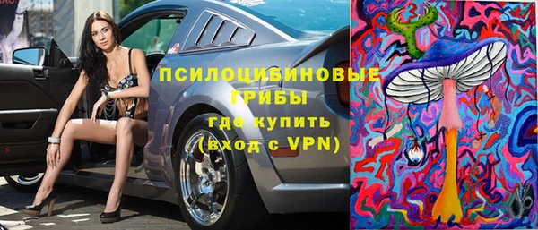2c-b Саяногорск