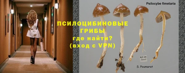 трава Абаза
